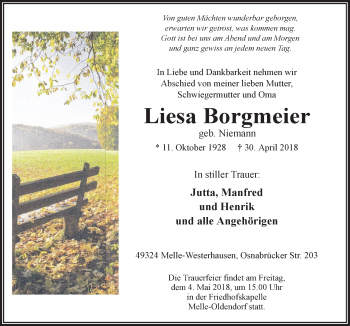 Traueranzeige von Liesa Borgmeier von Neue Osnabrücker Zeitung GmbH & Co. KG