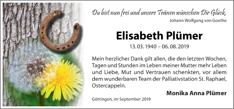  Traueranzeige für Elisabeth Plümer vom 21.09.2019 aus Neue Osnabrücker Zeitung GmbH & Co. KG