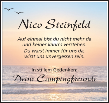 Traueranzeige von Nico Steinfeld von Neue Osnabrücker Zeitung GmbH & Co. KG