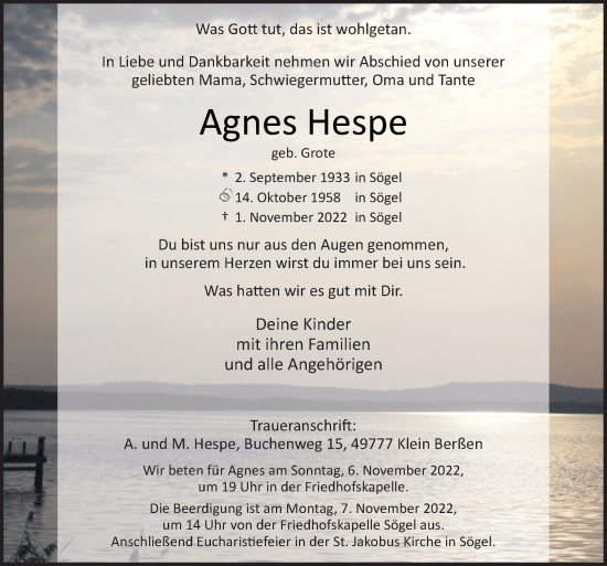 Traueranzeige von Agnes Hespe von Neue Osnabrücker Zeitung GmbH & Co. KG