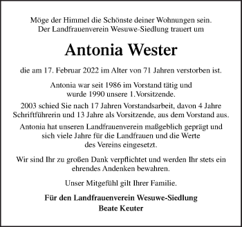 Traueranzeige von Antonia Wester von Neue Osnabrücker Zeitung GmbH & Co. KG