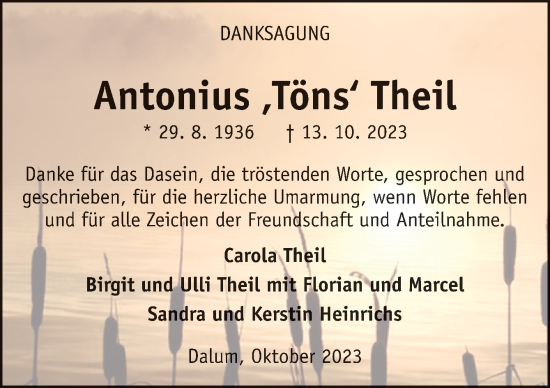 Traueranzeige von Antonius  Theil von Neue Osnabrücker Zeitung GmbH & Co. KG