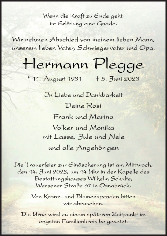 Traueranzeige von Hermann Plegge von Neue Osnabrücker Zeitung GmbH & Co. KG