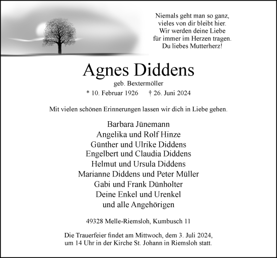 Traueranzeige von Agnes Diddens von Neue Osnabrücker Zeitung GmbH & Co. KG