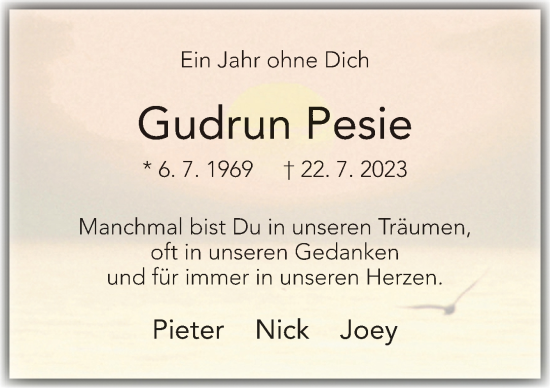 Traueranzeige von Gudrun Pesie von Neue Osnabrücker Zeitung GmbH & Co. KG