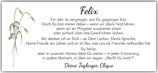 Traueranzeige von Felix Rolfes von Neue Osnabrücker Zeitung GmbH & Co. KG