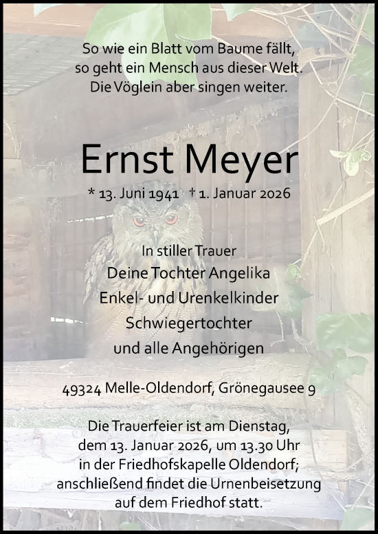 Traueranzeige von Ernst Meyer von Neue Osnabrücker Zeitung GmbH & Co. KG