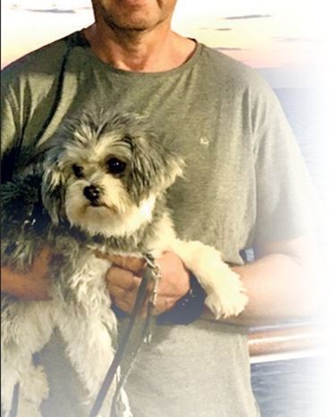 Profilbild Stefan Plogmann